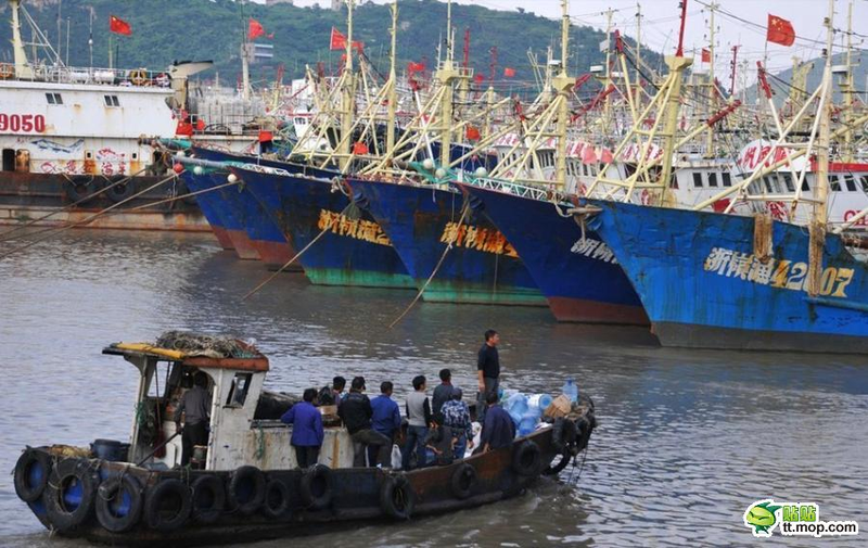 Illustration for article titled China Launches "One Thousand" Ships to Protect Disputed Islands